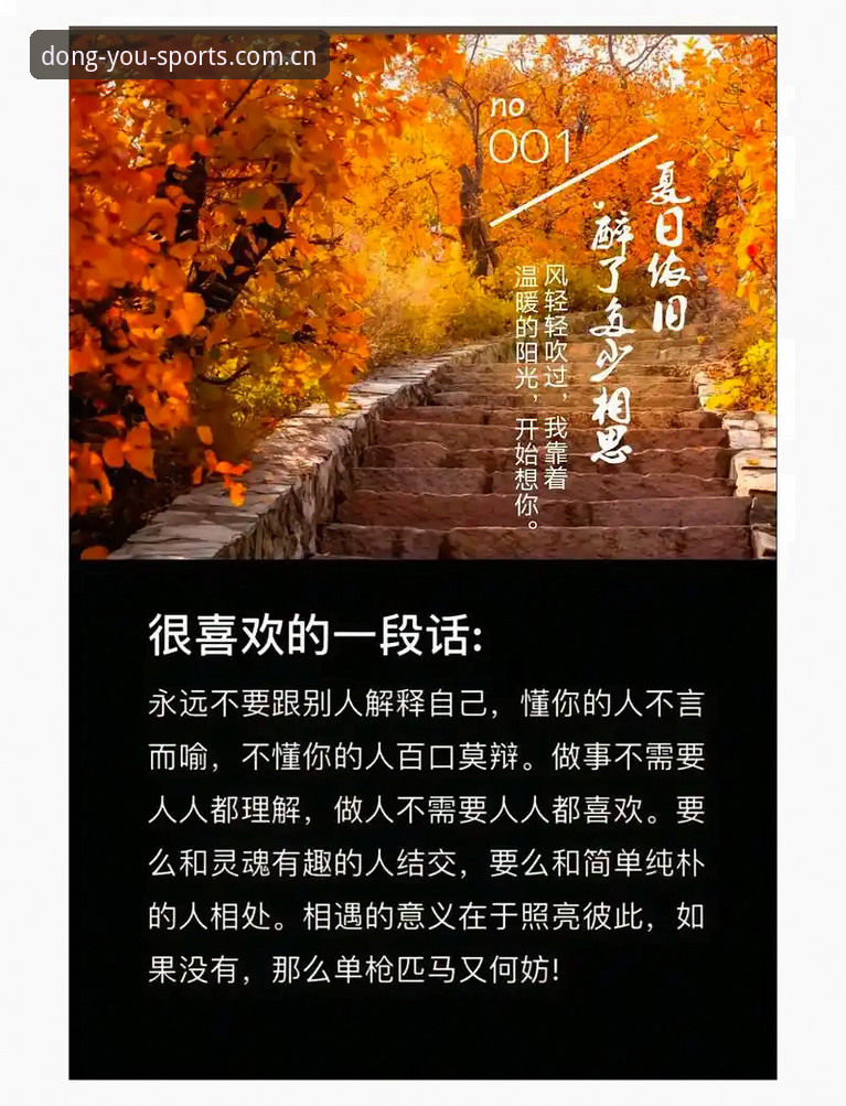 懂你就够了网页登录vs旧版APP：2025年最该知道的变化